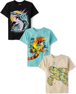 The Children's Place Boys' Assorted Everyday Short Sleeve Graphic T-Shirts, Multipack